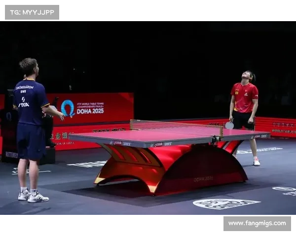 2013世乒赛男单决赛视频