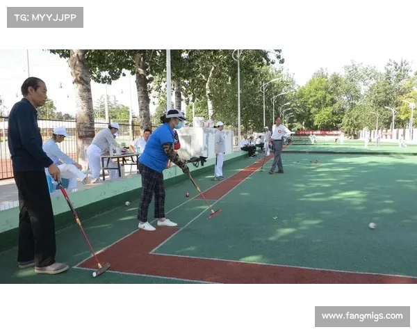 焦作门球网2017赛事,焦作球场